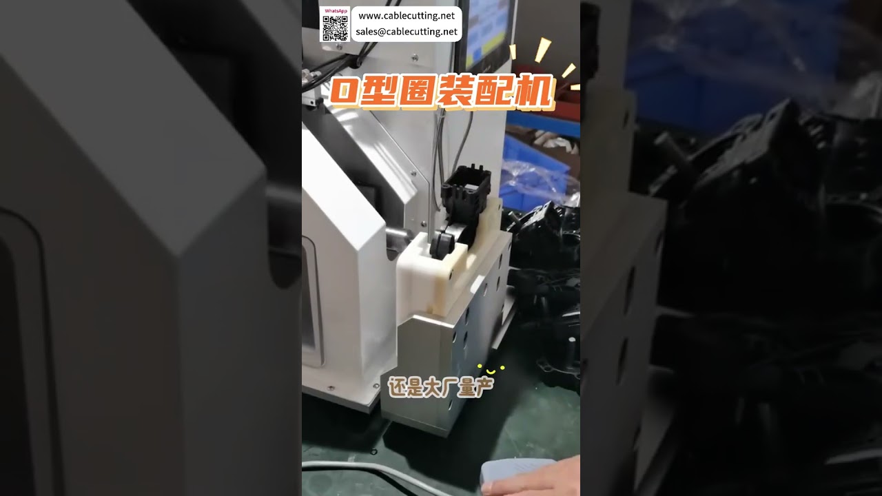 High Quality O Ring Assembly Machine Custom Automated Sealing Ring Manufacturing Machinery - Shorts