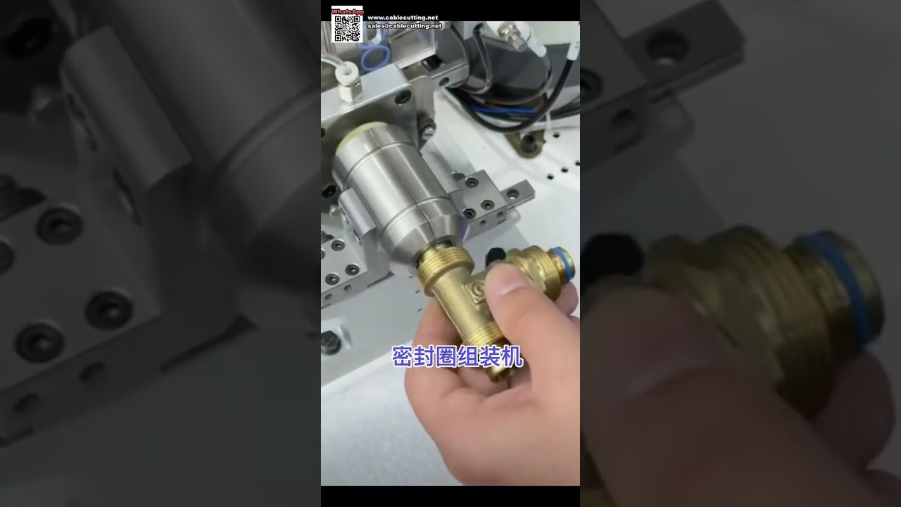 Fully Automatic O Ring Seal Assembly Machine Equipment for Automotive Components