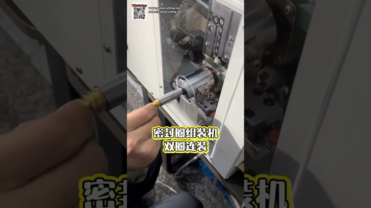 Automated Seal Ring Assembly Machine for Machinery Manufacturing and Processing